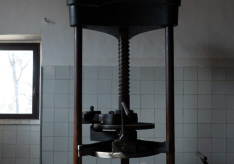 Pressa manuale